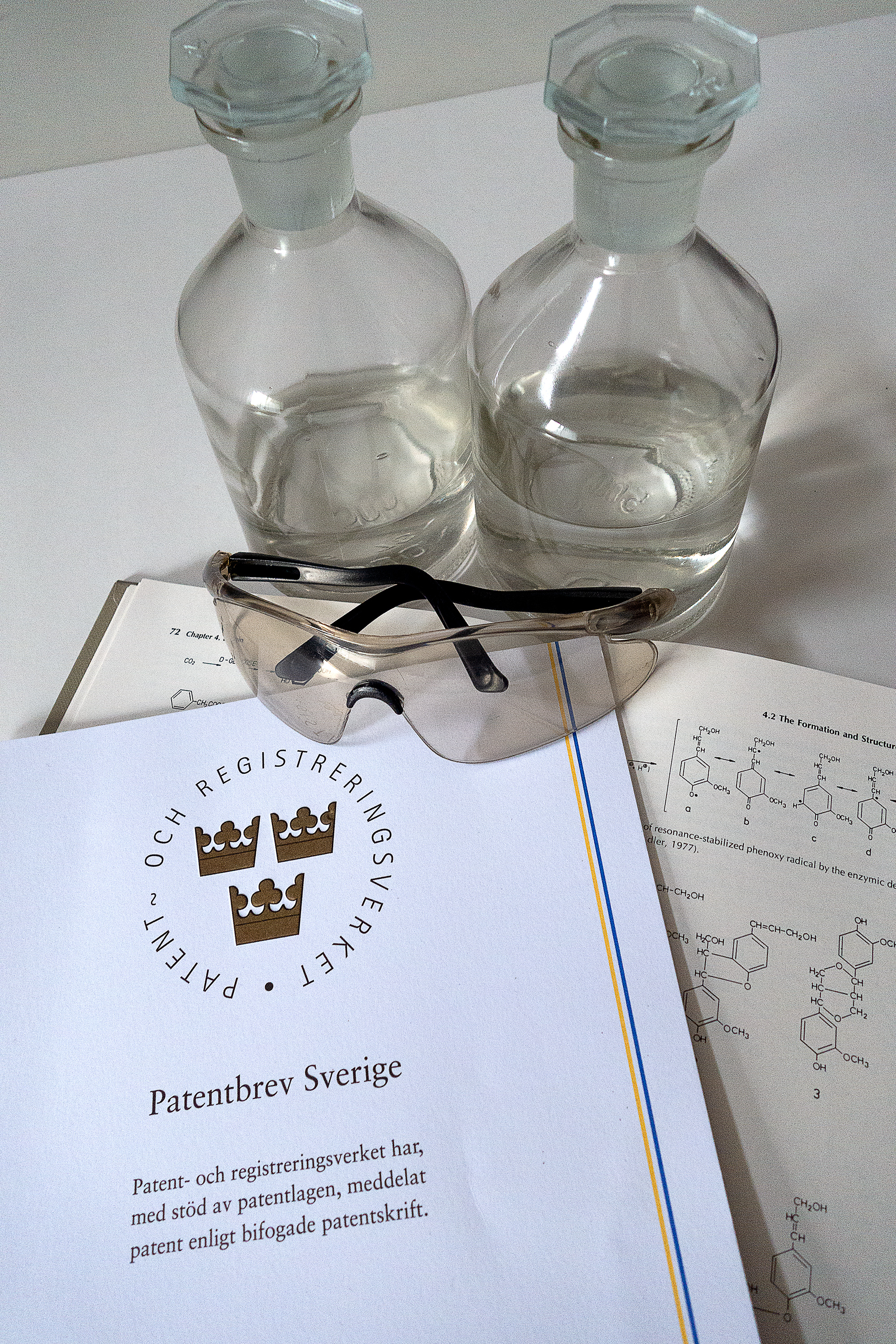 Patentbyrån Crea IP har auktoriserade europapatentombud som arbetar med uppfinningar och ny teknik inom hållbarhet, förnybara råvaror, skoglig koppling såsom cellulosa, lignin, pappersmassa och biströmmar från bruket. Crea IP är en teknikbyrå som skräddarsyr patentskydd och beskriver din teknik anpassad till dina behov såsom ansökningar, dokumentation, presentation. Våra auktoriserade Europapatentombud hjälper dig med patentrelaterad IP inom kemiteknisk tillverkning, maskintillverkning samt skogsindustriella processer och produkter.   Vi brinner för hållbarhet och bioinnovationer baserade på förnybara material och råvaror såsom vedråvara, cellulosa, lignin, hemicellulosa och biprodukter från massabruken.